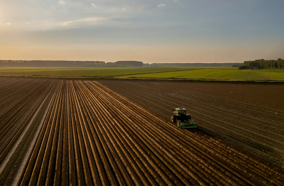 Paisaje de campo que representa el origen rural de Todoagro